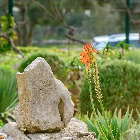 Σπίτι διακοπών Casa Aromatica Maria *
