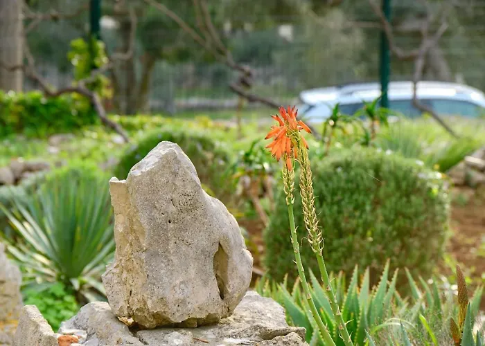 Feriehus Casa Aromatica Maria *