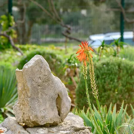 Prázdninový dům Casa Aromatica Maria *