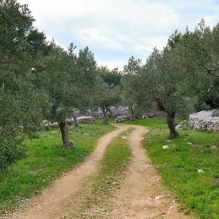 Casa Aromatica Maria Tatil Evi Mali Lošinj
