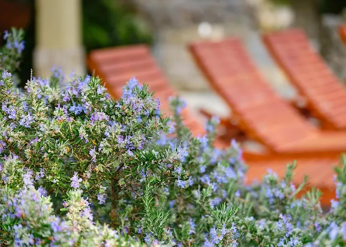 Casa Aromatica Maria